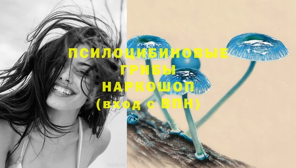 прущий лед Абдулино