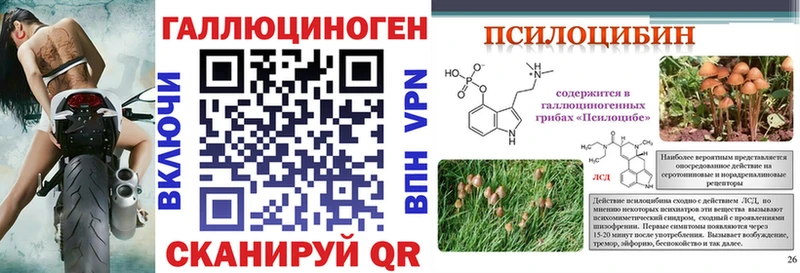Галлюциногенные грибы Psilocybe Краснозаводск